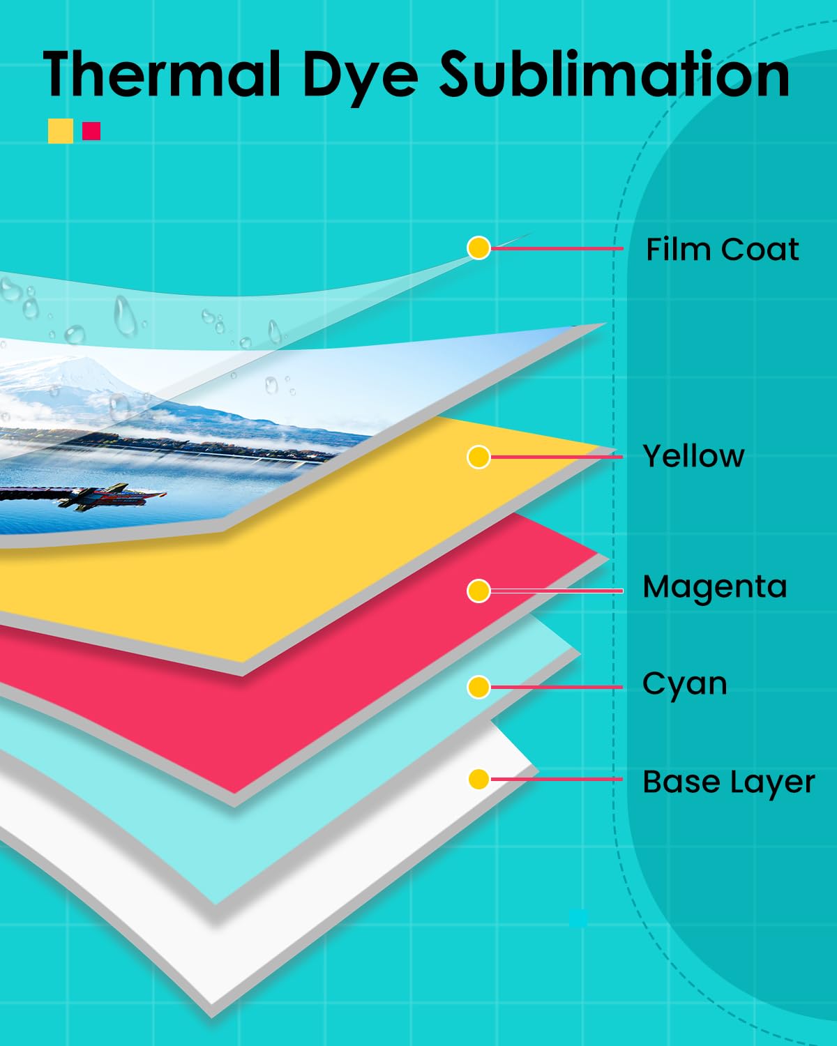LP-80 Compatible for Liene Amb - Solvent Printer Ink 评论和价格