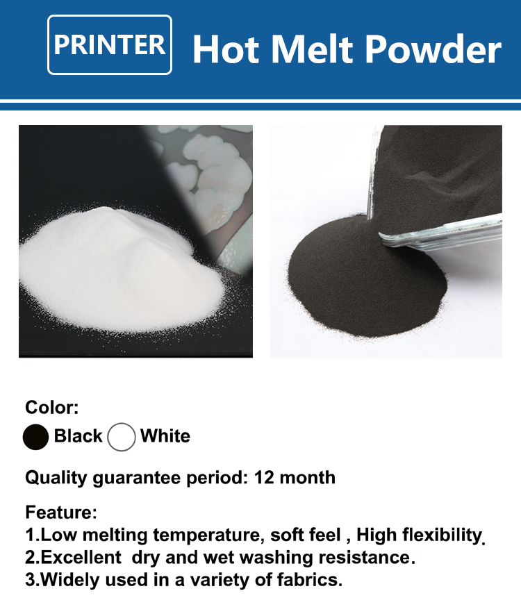 1000g 1kg DTF Powder Fine Powd - Solvent Printer Ink 评论和价格
